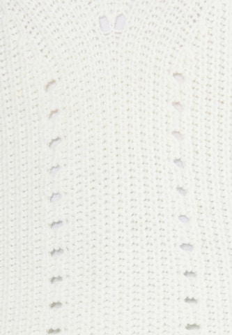 Pullover 'Teylon' di usha WHITE LABEL in bianco