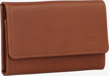 BREE Case in Brown