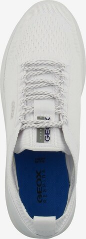 Baskets basses 'Spherica' GEOX en blanc