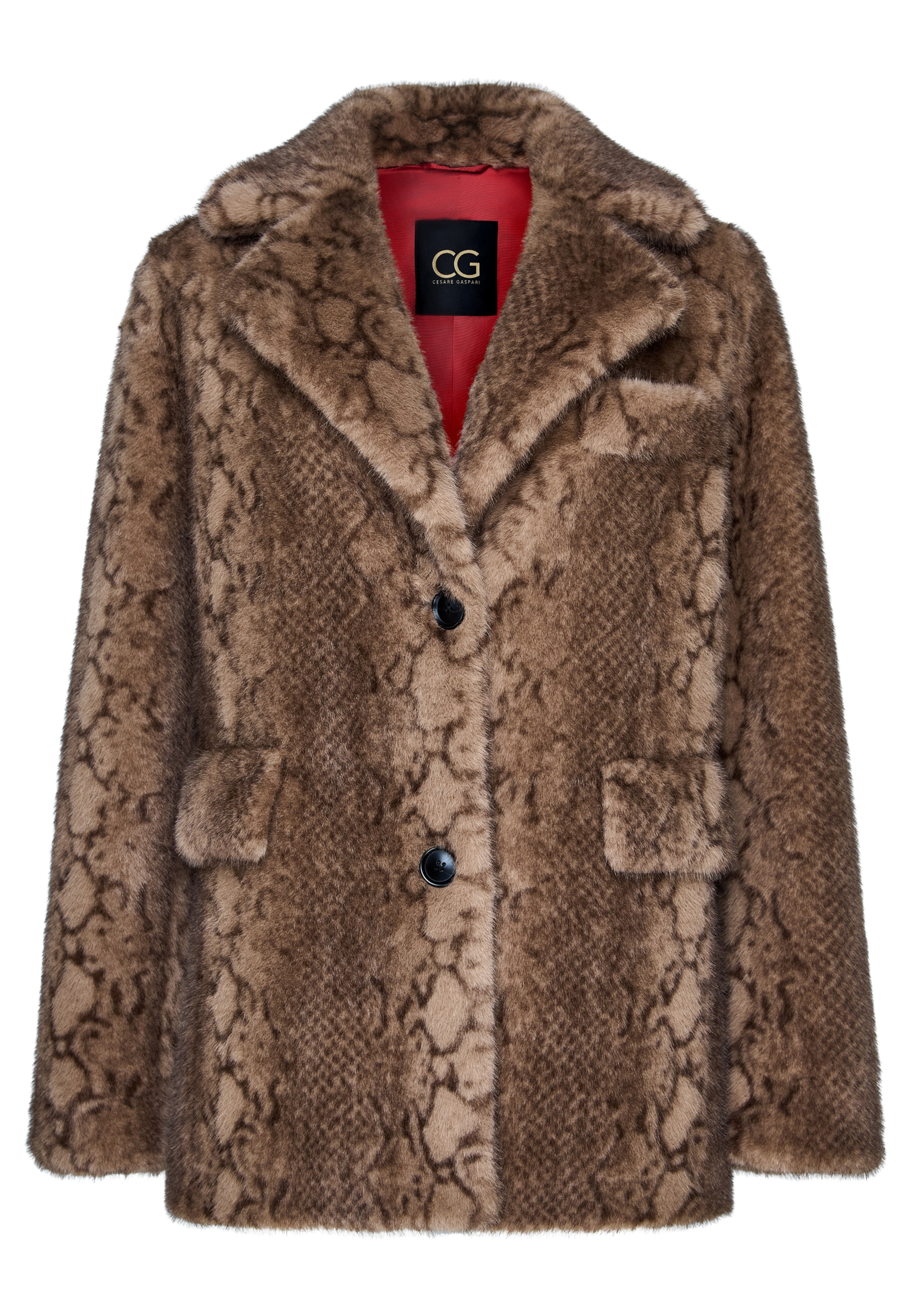 CESARE GASPARI Wintermantel in Bruin: voorkant
