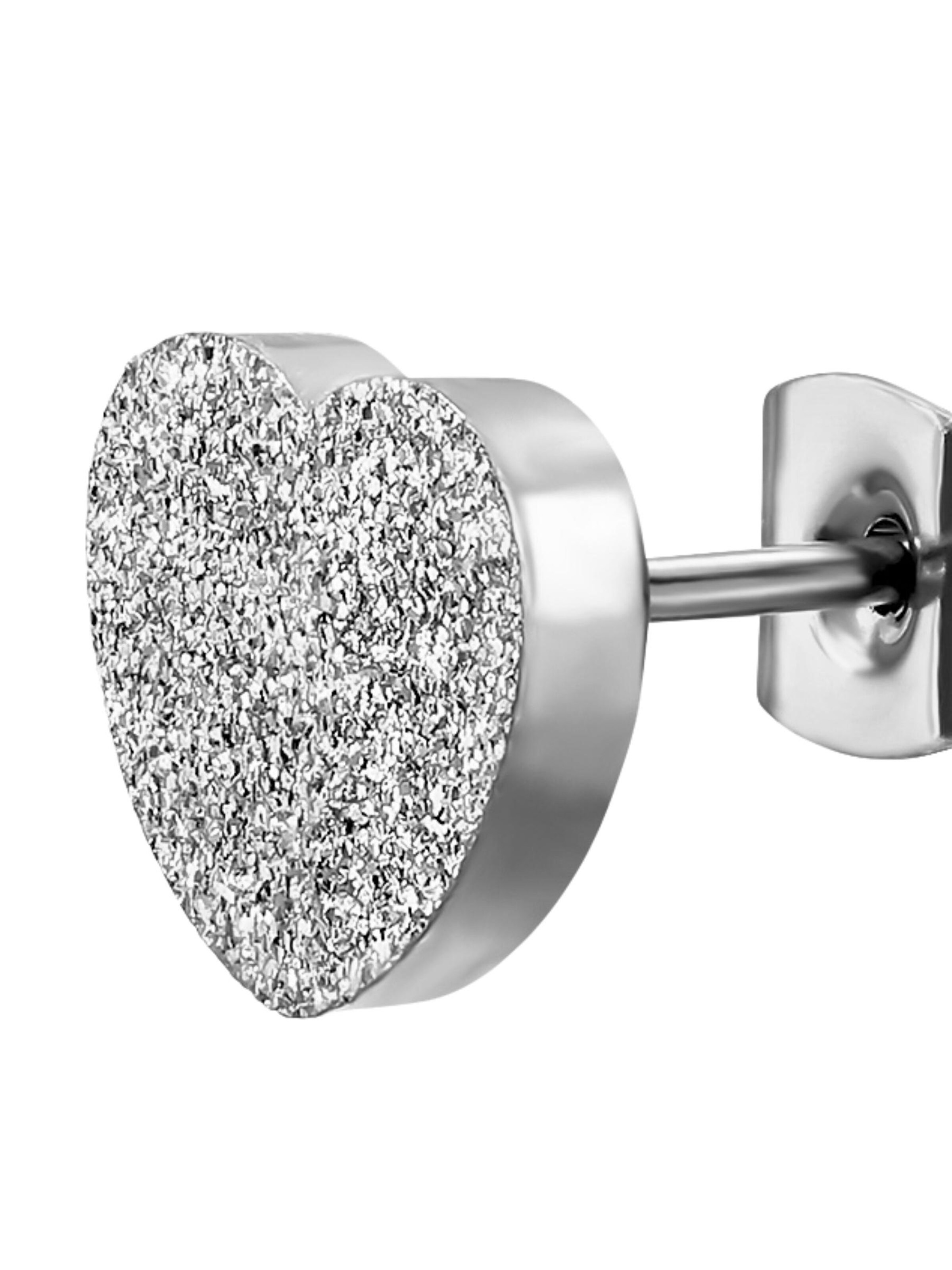 Maxte Earrings in Silver