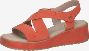 CAPRICE Sandale in Orange: Vorderseite