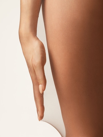 CALZEDONIA Strumpfhose in Braun