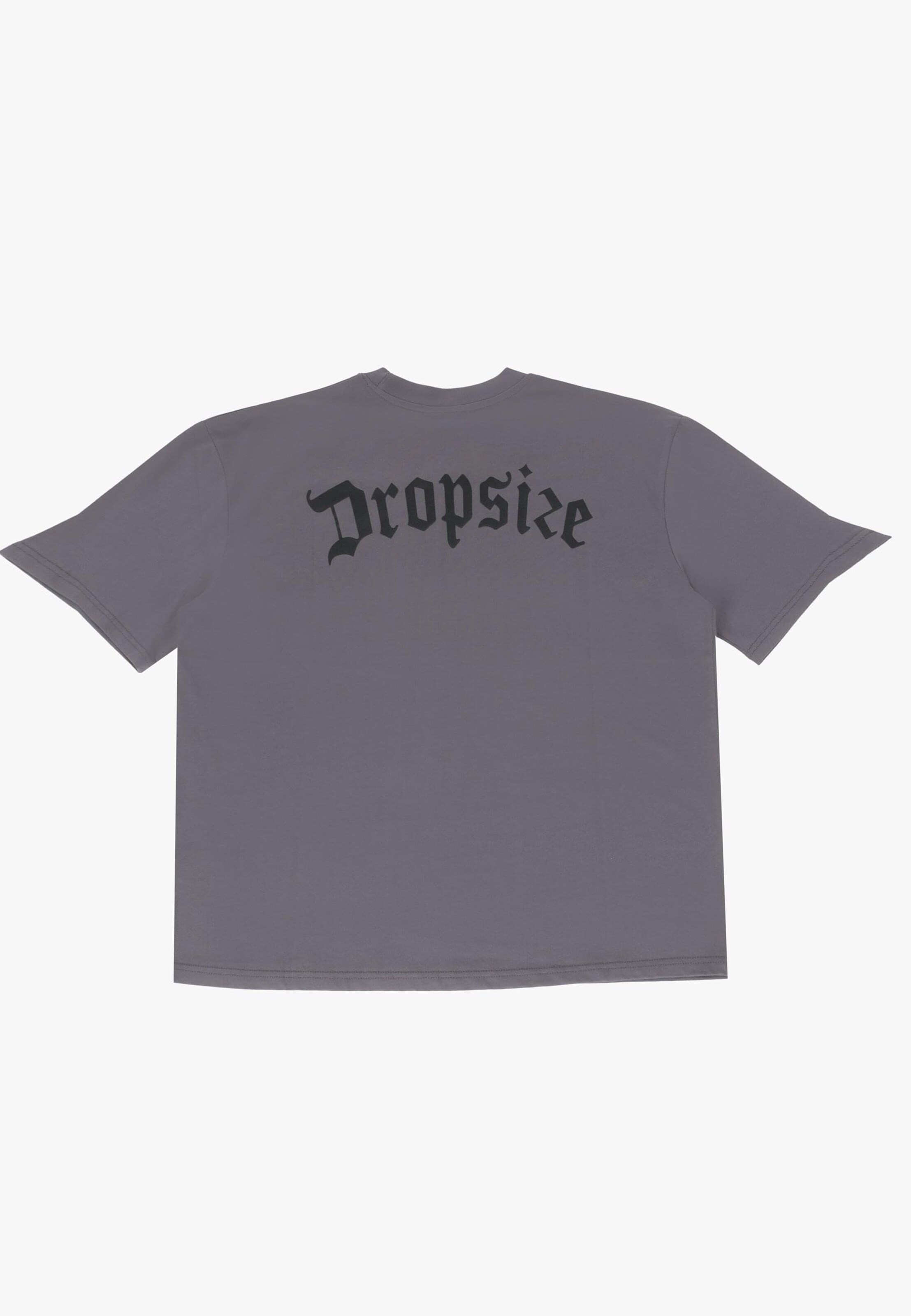 Dropsize Shirt in Grey