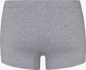 Hanro Pants 2-Pack ' Cotton Essentials ' in Grau