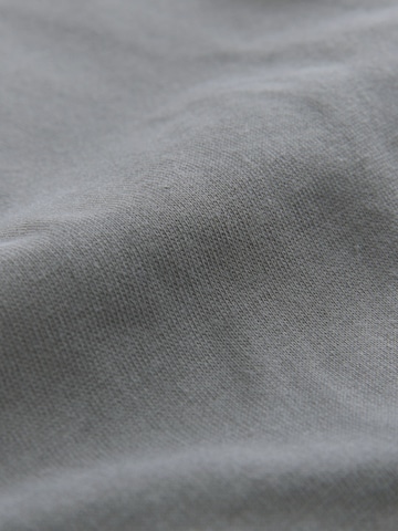 smALLSAINTS T-Shirt 'Orlando' in Grau