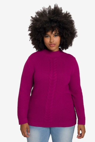 Ulla Popken Sweater in Pink: front