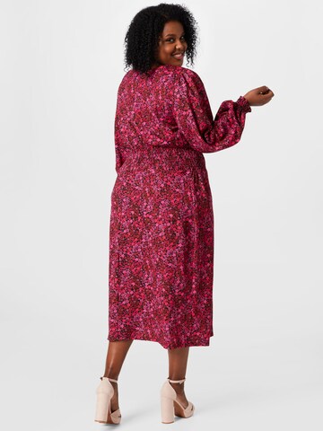 Dorothy Perkins Curve Obleka | roza barva