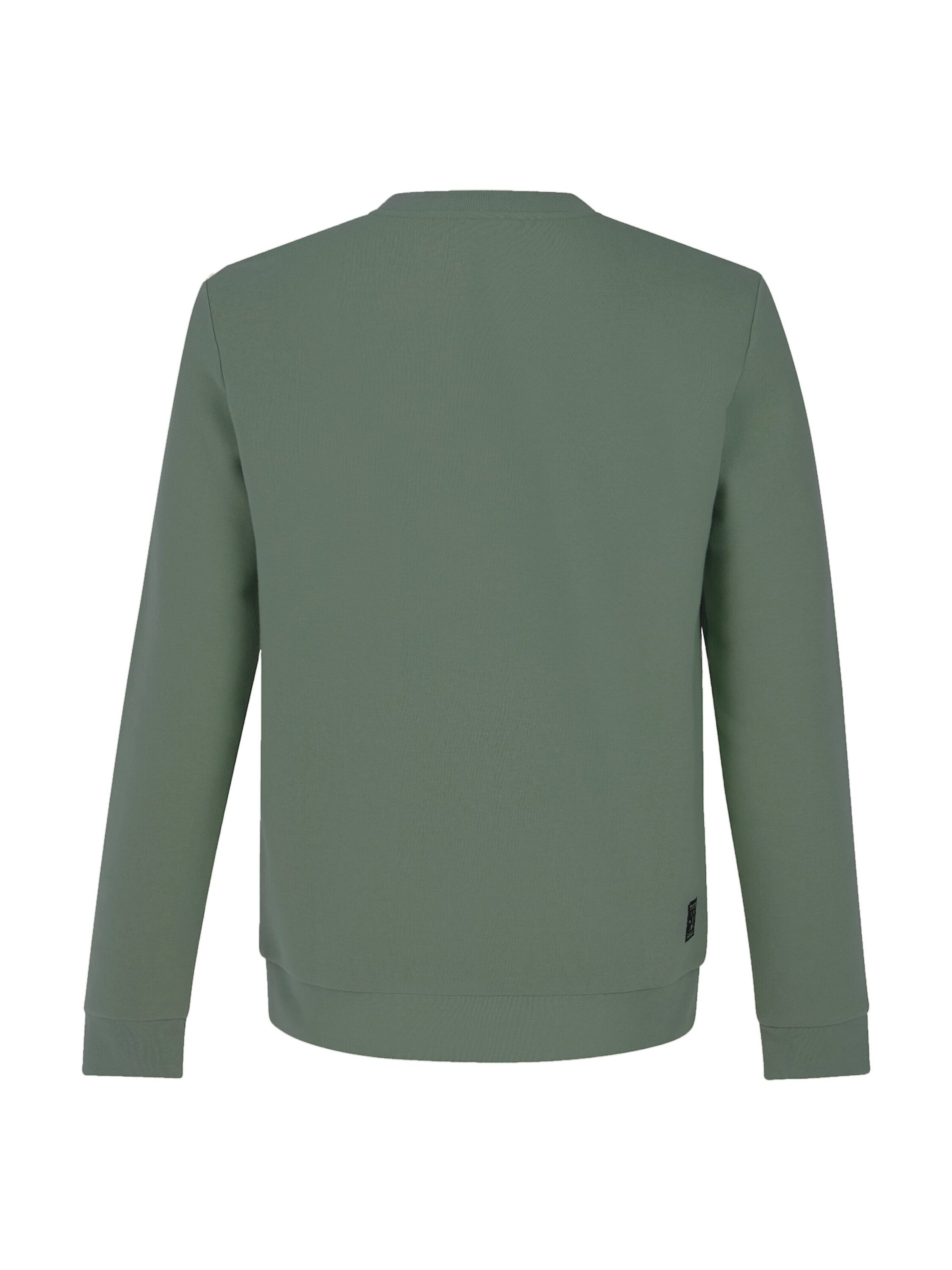 PROTEST Sweater 'PRTVito' in Green