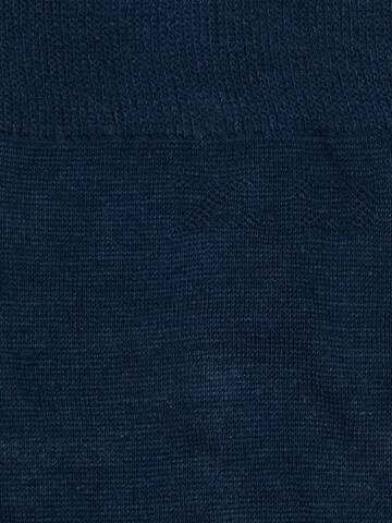 zd ZERO DEFECTS - Calcetines hasta la rodilla 'Soy fiber knee socks' en azul