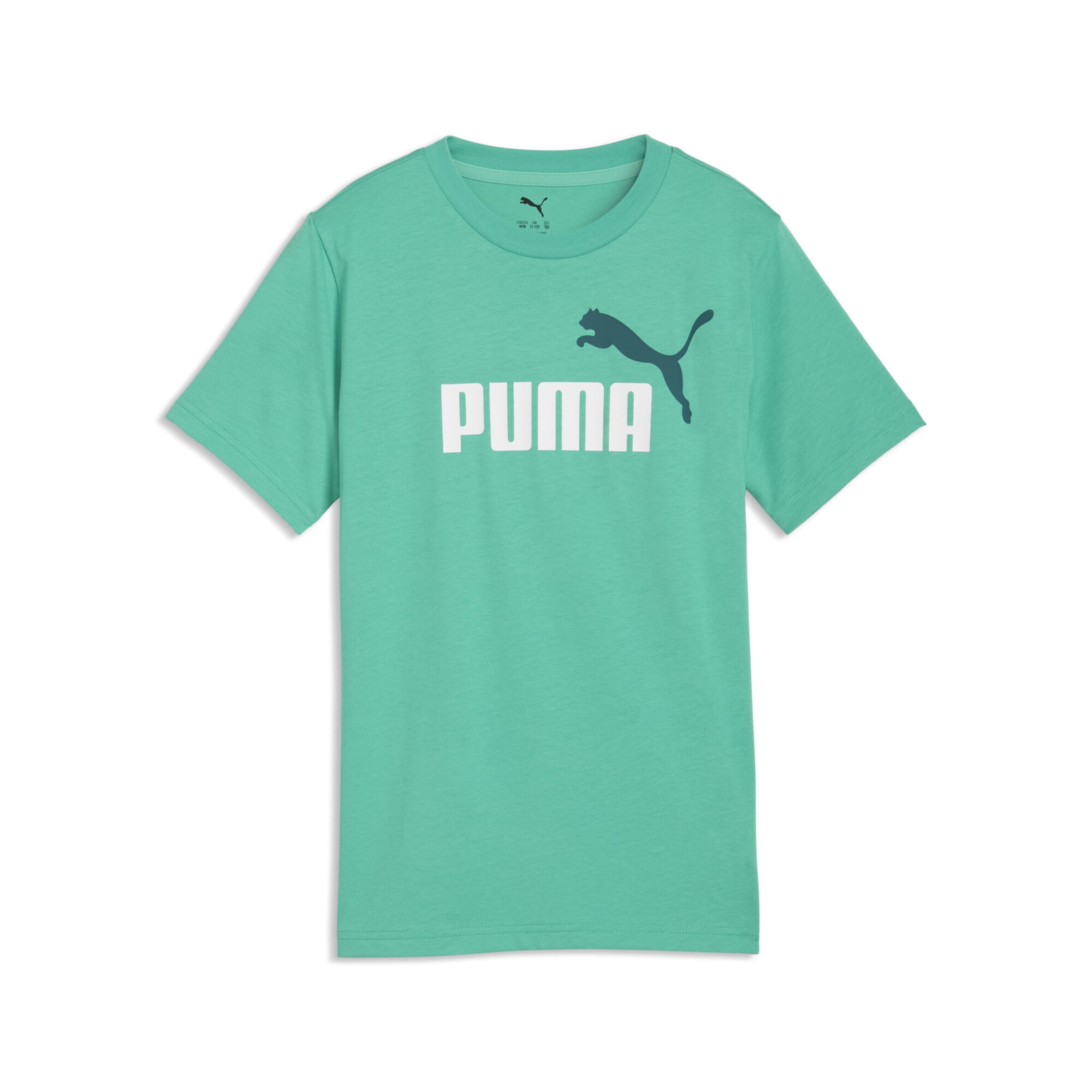 PUMA Shirt 'Essentials Colour No.1' in Green: front