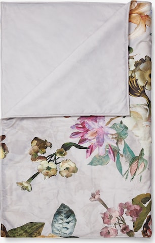 ESSENZA Blankets 'Fleur' in White: front