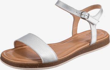 Apple of Eden Sandalen met riem 'Isa' in Zilver: voorkant