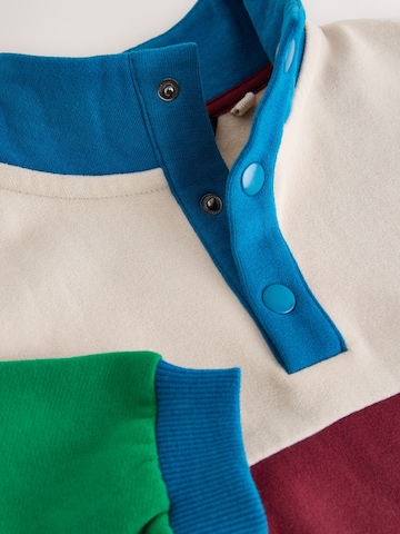 Next Trui in Gemengde kleuren