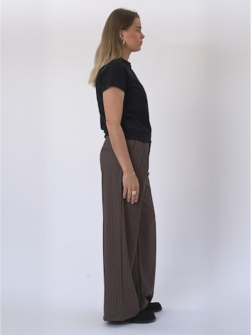 Regular Pantaloni ' Paloma ' de la TEESHOPPEN pe maro