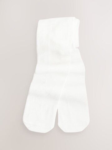 Next Panty's in Wit