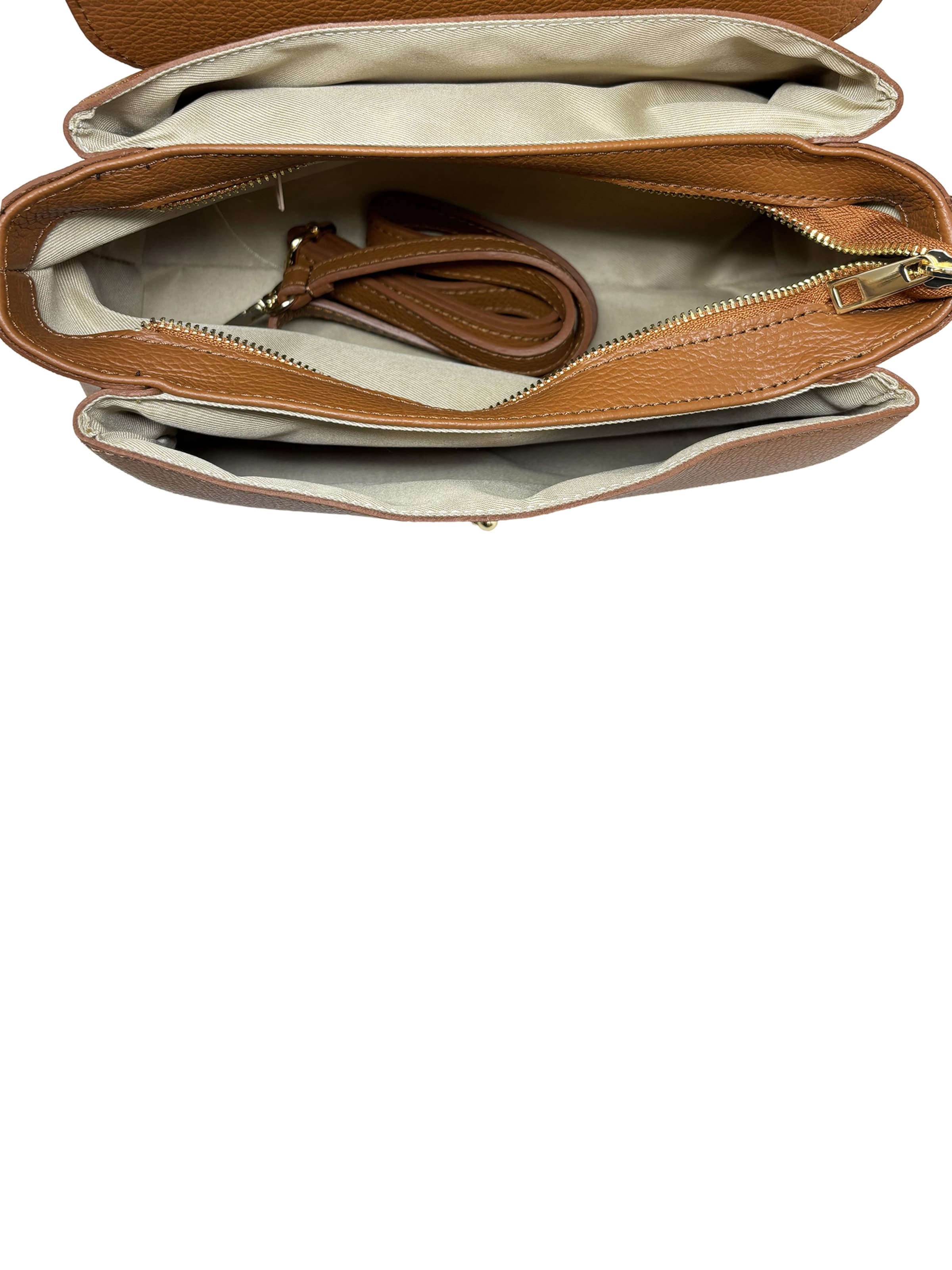 CHICCA BORSE Handbag in Brown