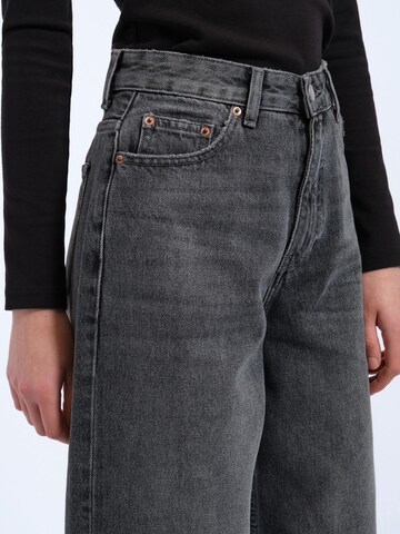 Dr. Denim Loosefit Jeans 'Donna Relaxed - Jeans'‌‌‌‌‌‌‌‌‌ in Grau