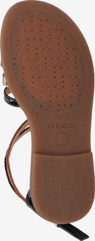 GEOX Sandale in Braun