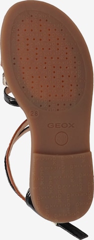 GEOX Sandale in Mischfarben