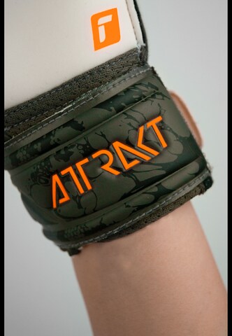REUSCH Athletic Gloves 'Attrakt Solid' in Green