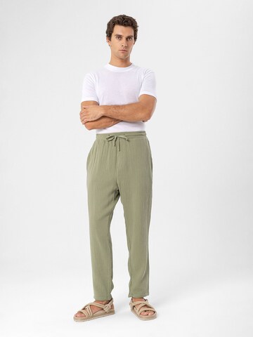 Antioch Loose fit Trousers in Green