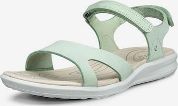 ECCO Trekkingsandale 'Cruise II' in Grün: Vorderseite