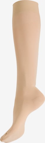 Gambaletto 'Relax Light' di Hudson in beige: frontale