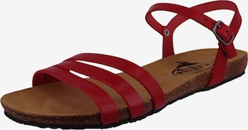 Sandales à lanières Plakton en rouge : devant
