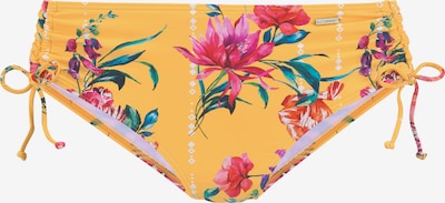 Slip costum de baie 'Sunseeker' SUNSEEKER pe galben / mai multe culori, Vizualizare produs