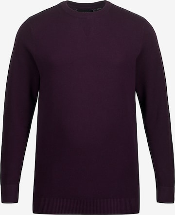 JP1880 Sweater in Purple: front