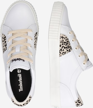 Baskets basses TIMBERLAND en blanc