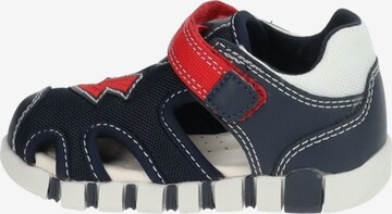 Chaussures ouvertes GEOX en bleu