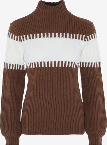 FENIA Sweater in Brown: front