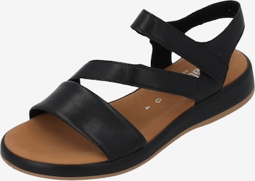 GABOR Strap Sandals in Black: front