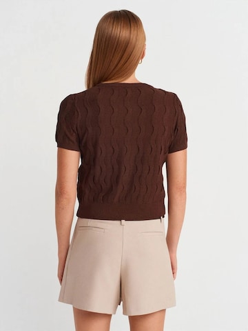 Dilvin Blouse 'Blusen' in Brown
