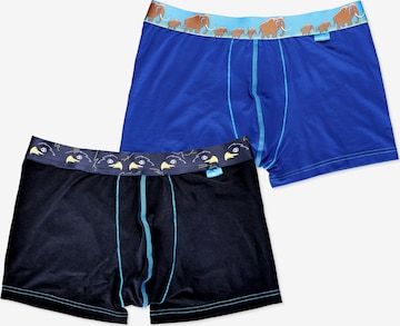 UNABUX Boxershorts in Blau: Vorderseite