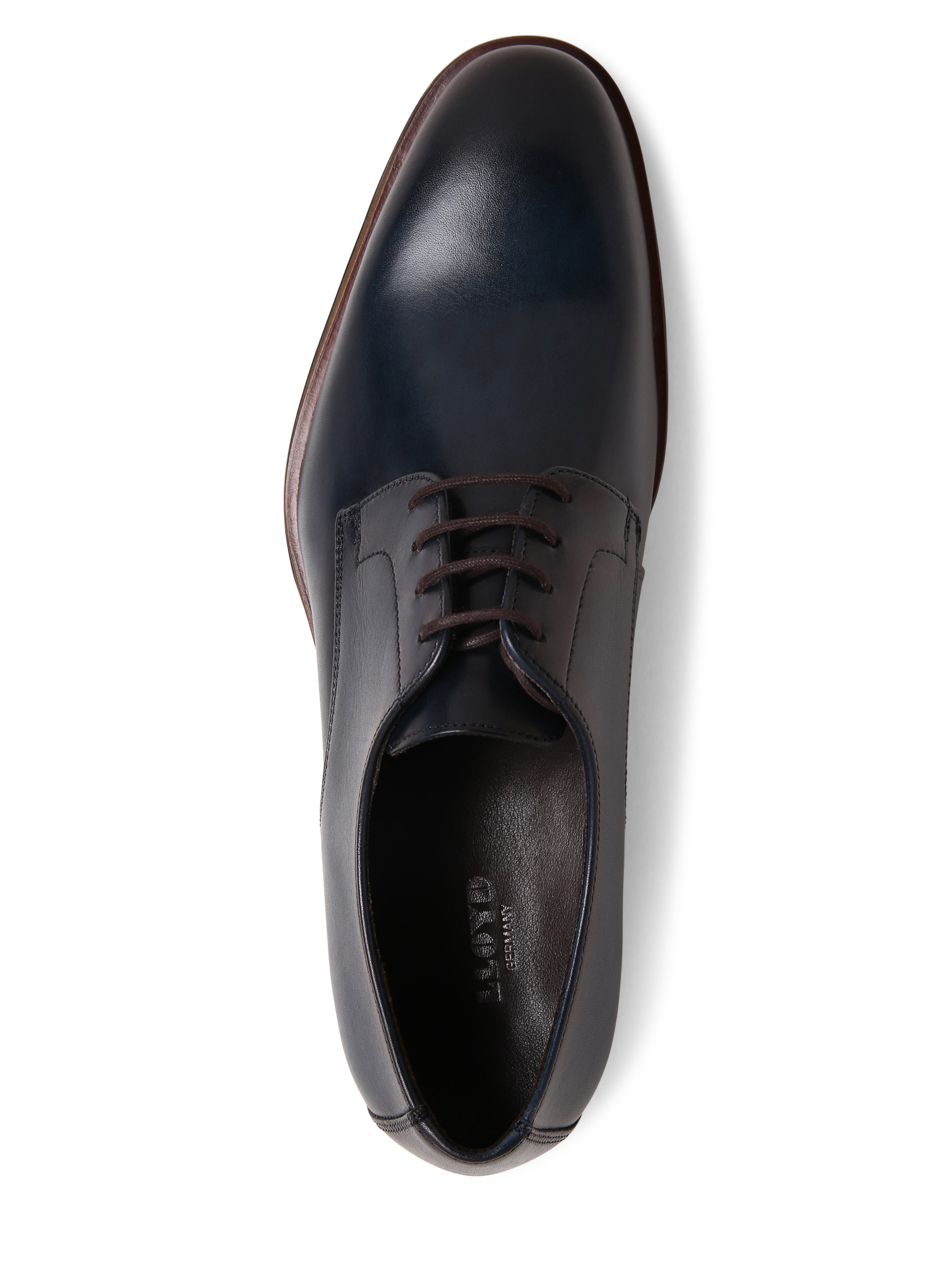 zils LLOYD Kurpes ar šņorēm 'Sabre'