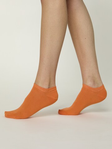 Chaussure basse ' Unisex Colour Sneaker farbige Füßlinge kurz ' Nur Die en orange