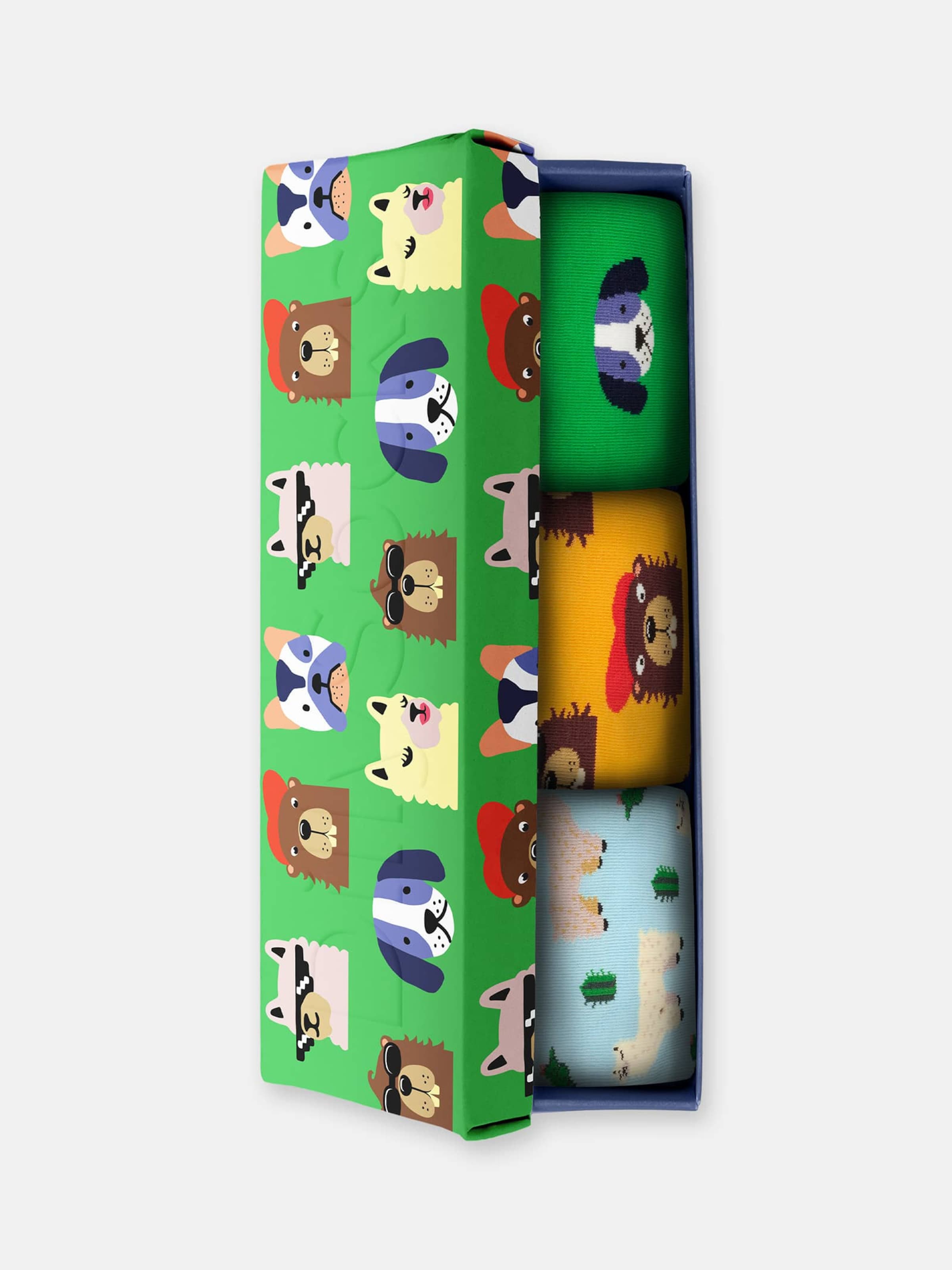 DillySocks Socken 'Geschenkbox - Paws & Friends (3er Box)' in Mischfarben