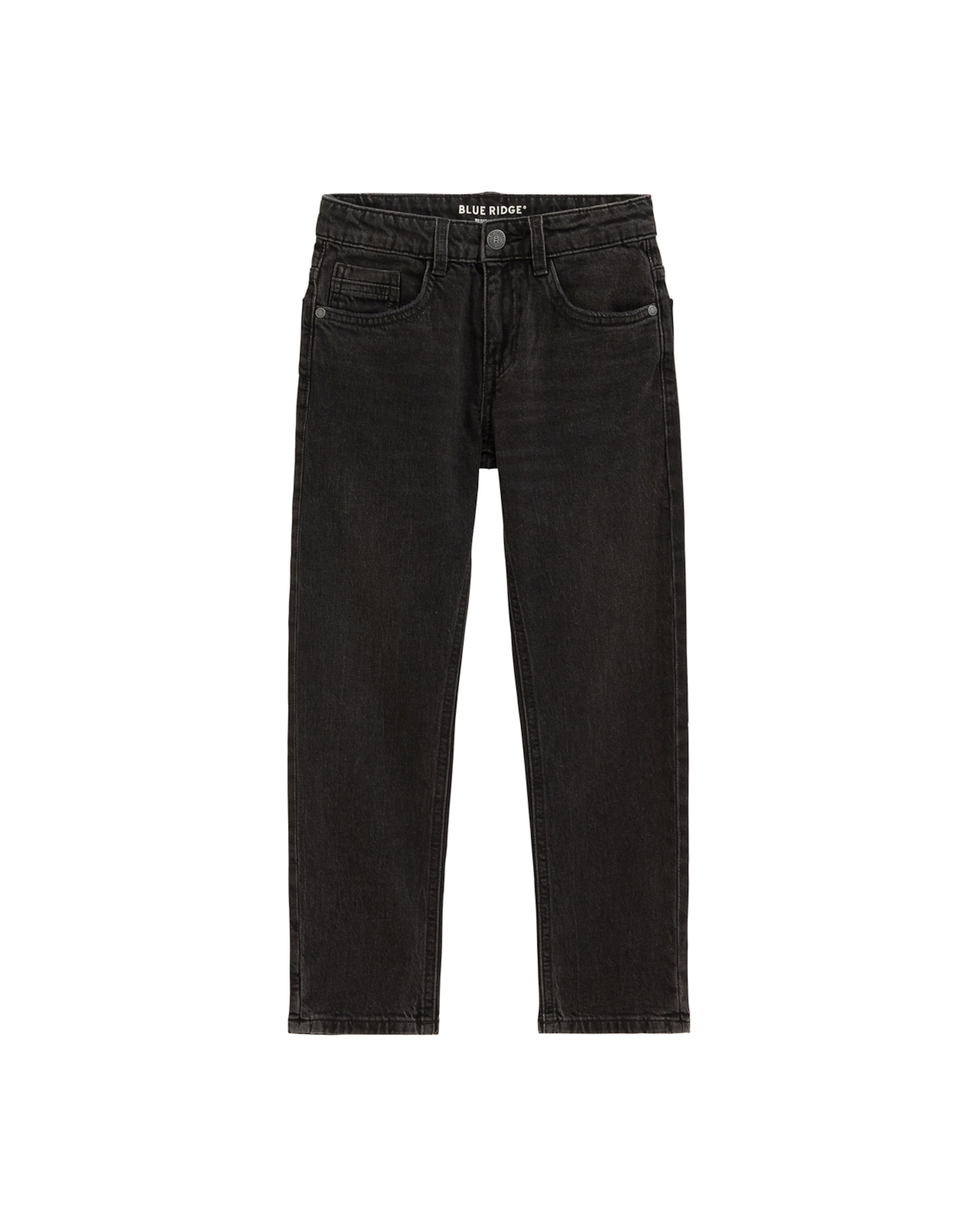 Regular Jeans de la WE Fashion pe gri: față