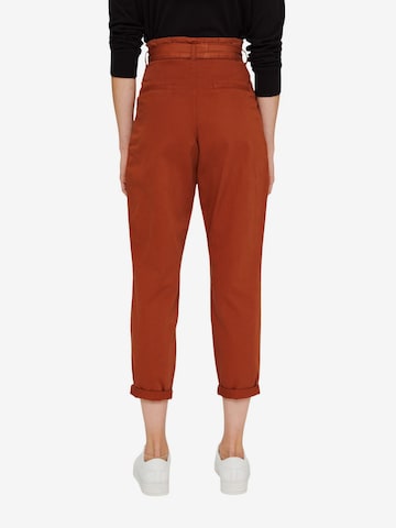 ESPRIT Tapered Hose in Orange