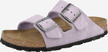 BIRKENSTOCK Pistokkaat 'Arizona' värissä harmaa: etupuoli