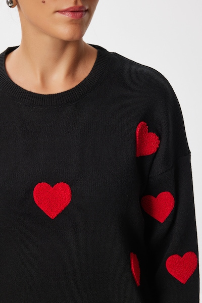 Happiness İstanbul Pull-over en rouge / noir, Vue avec produit