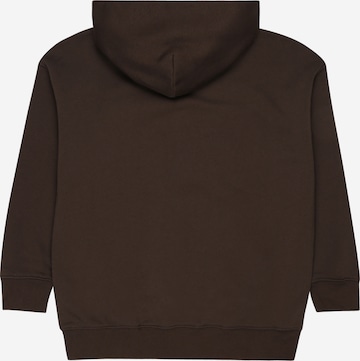 GAP Sweatshirt 'ARCH' i brun