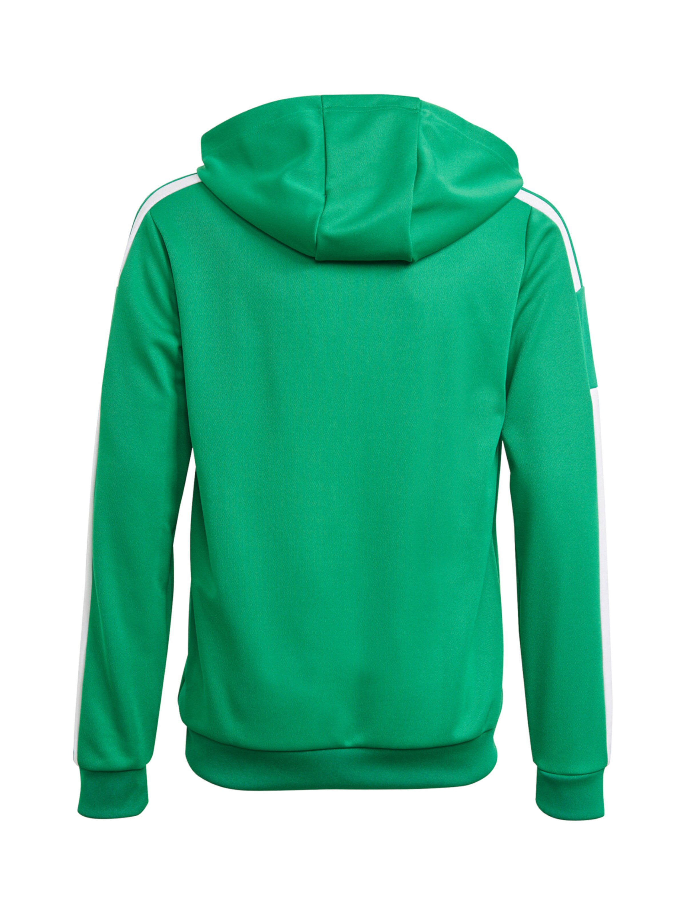 ADIDAS PERFORMANCE Sportsweatshirt 'Squadra 21' in Grün