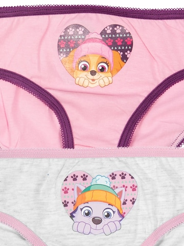 Paw Patrol Underpants in Mixed colours