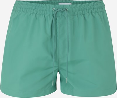 Calvin Klein Swimwear Szorty kąpielowe w kolorze zielony / białym, Podgląd produktu