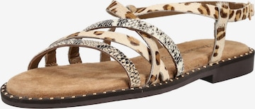 LAZAMANI Riemensandale in Beige: Vorderseite