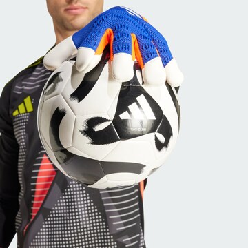 ADIDAS PERFORMANCE Sporthandschuhe 'Predator Pro Hybrid' in Blau